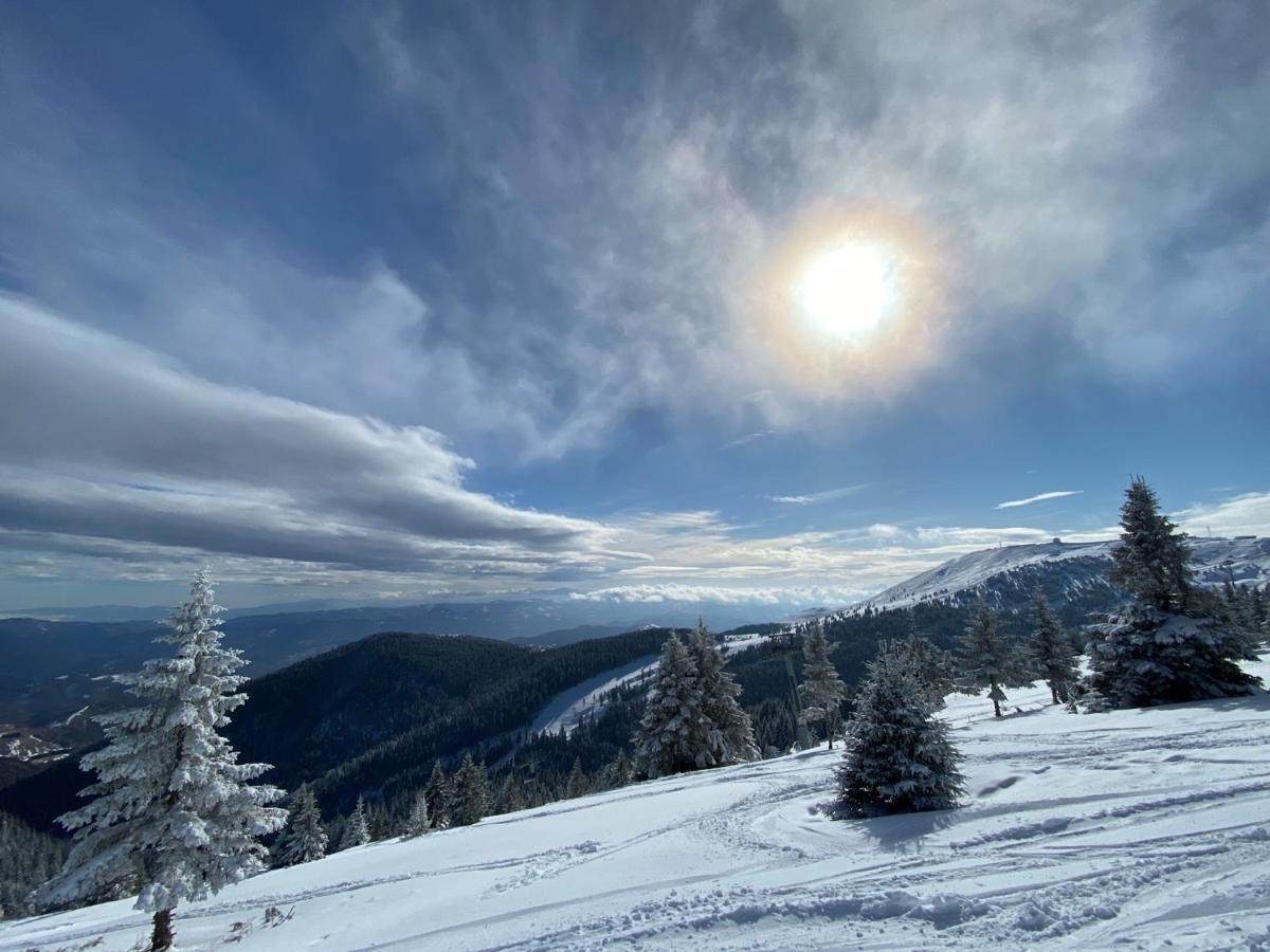 Ski & Spa Apartment S20 Milmari Resort Kopaonik Dış mekan fotoğraf