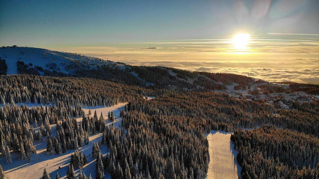 Ski & Spa Apartment S20 Milmari Resort Kopaonik Dış mekan fotoğraf