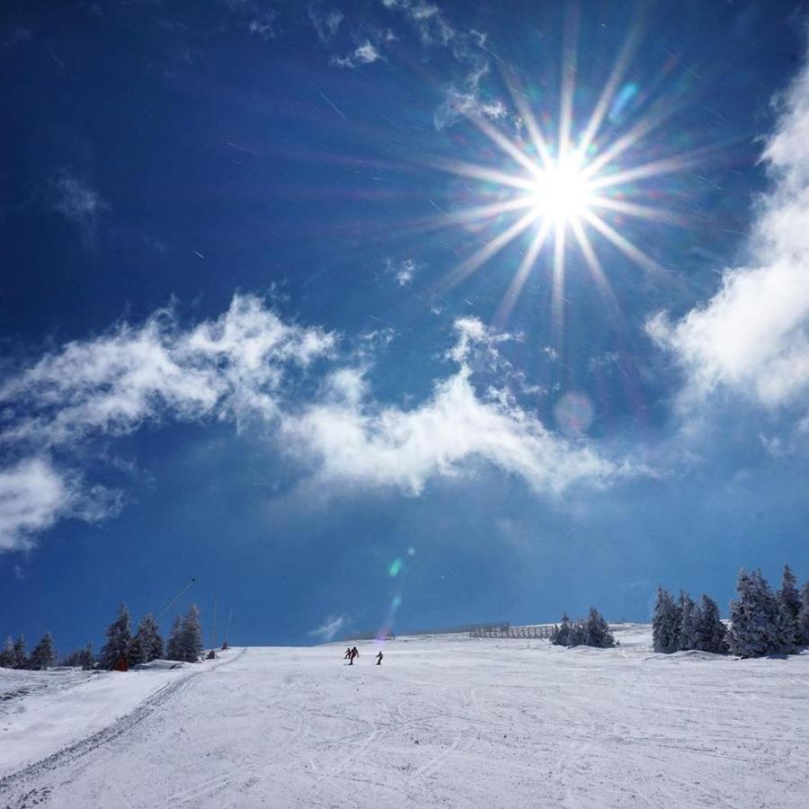 Ski & Spa Apartment S20 Milmari Resort Kopaonik Dış mekan fotoğraf