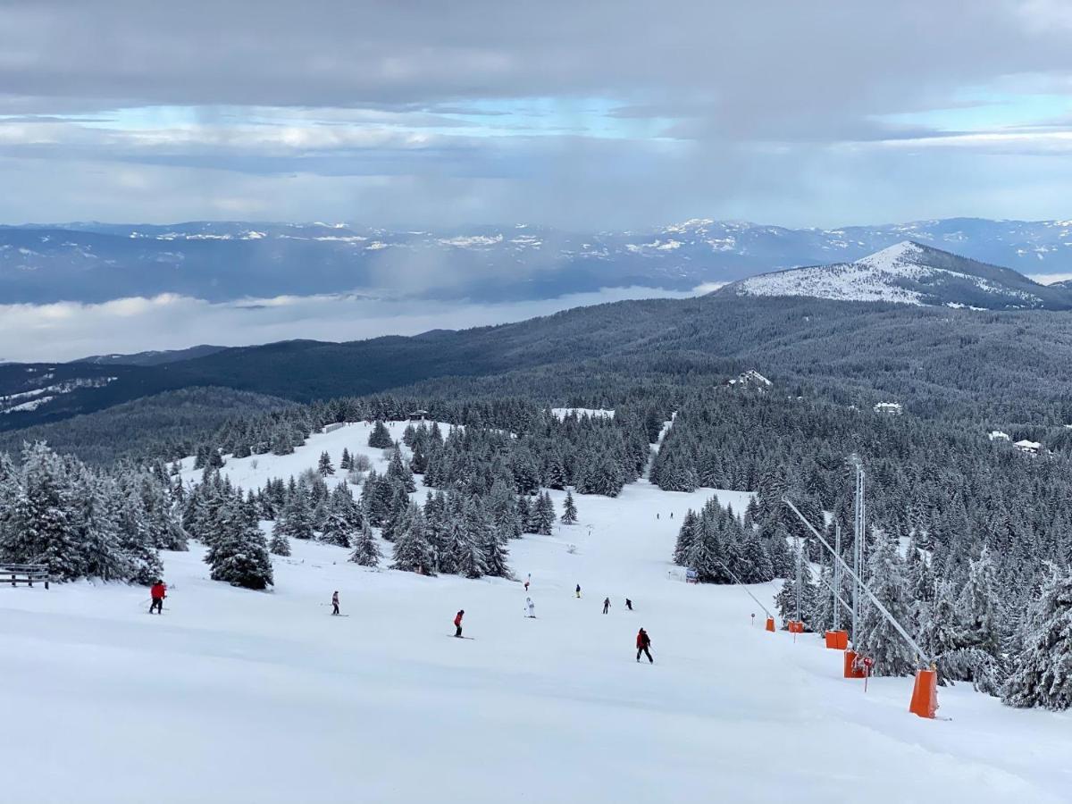 Ski & Spa Apartment S20 Milmari Resort Kopaonik Dış mekan fotoğraf